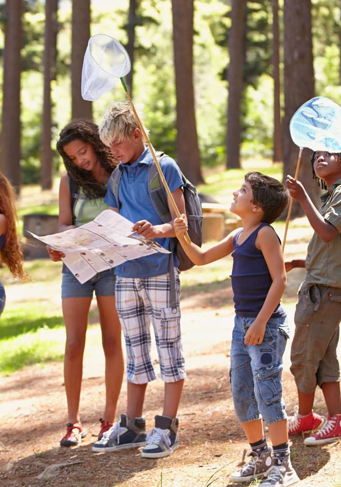 children walking in forest during the summertime.